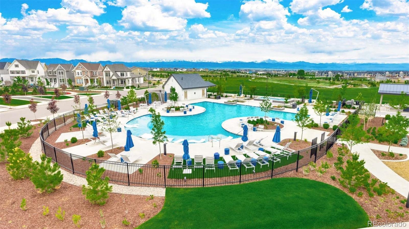 MLS Image #5 for 175  ash circle,erie, Colorado