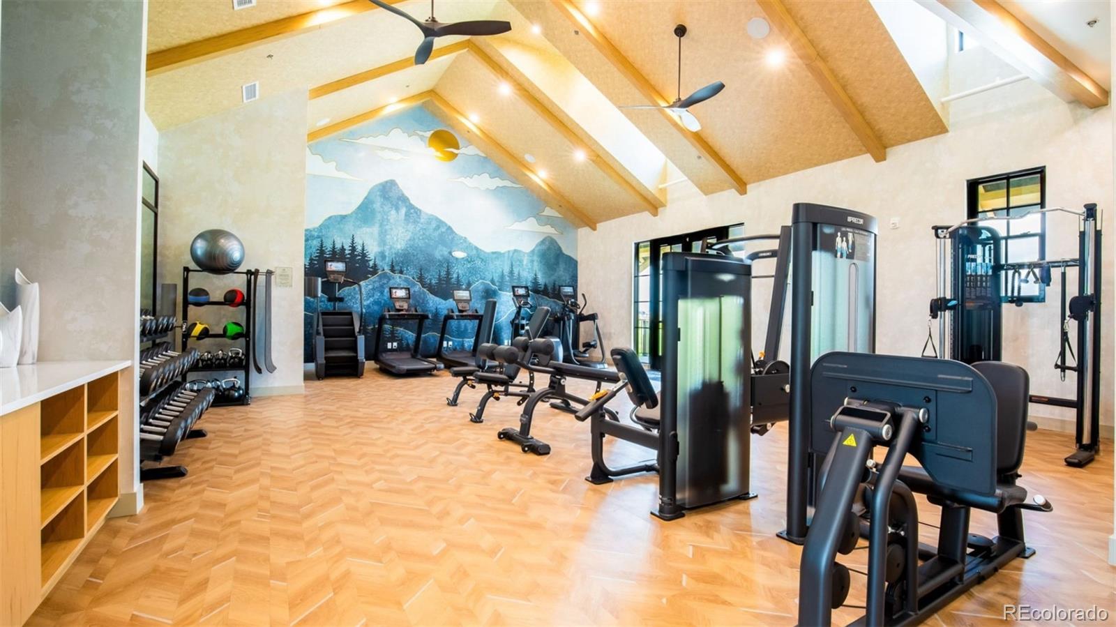 MLS Image #7 for 175  ash circle,erie, Colorado