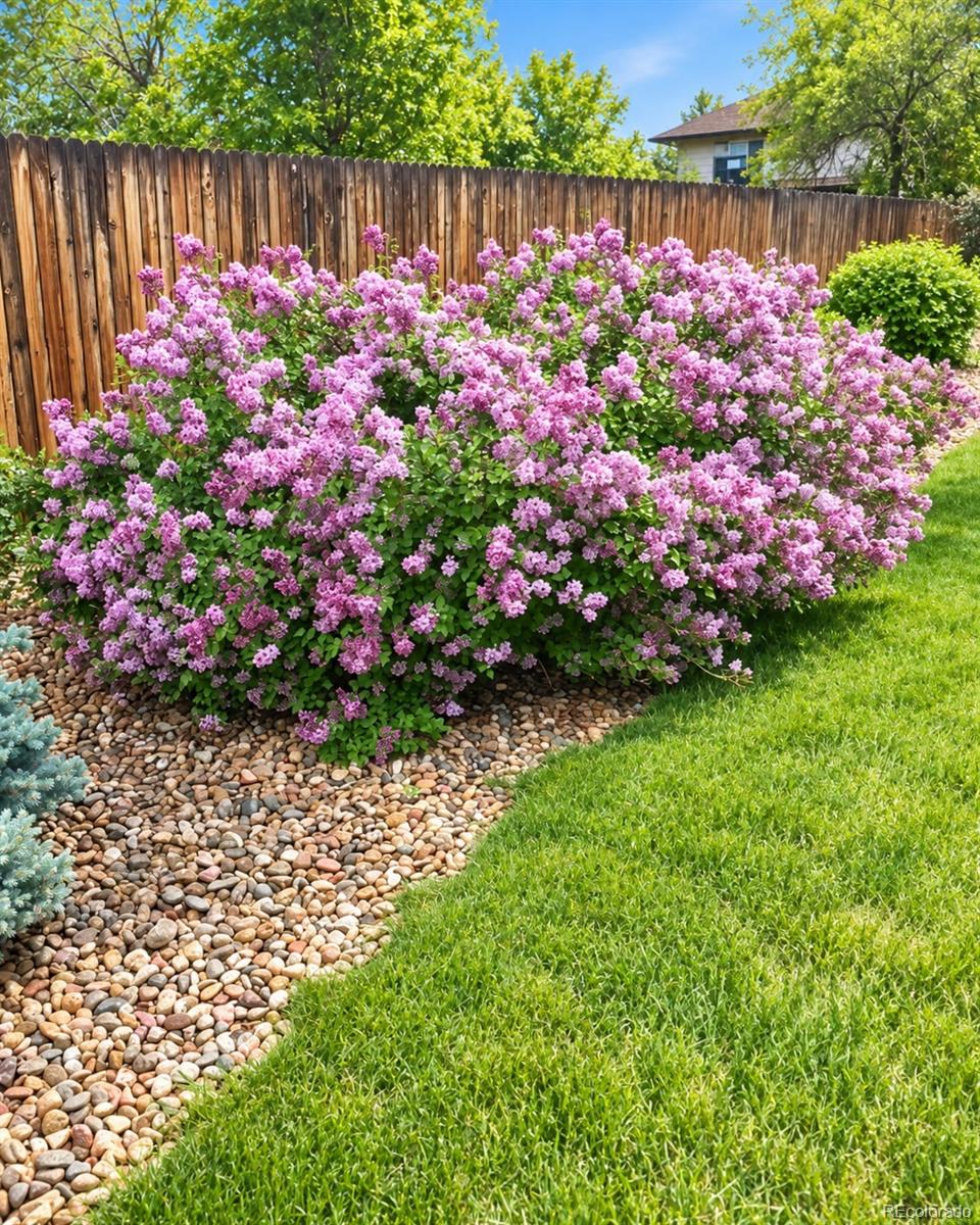 MLS Image #33 for 7300 s syracuse court,centennial, Colorado