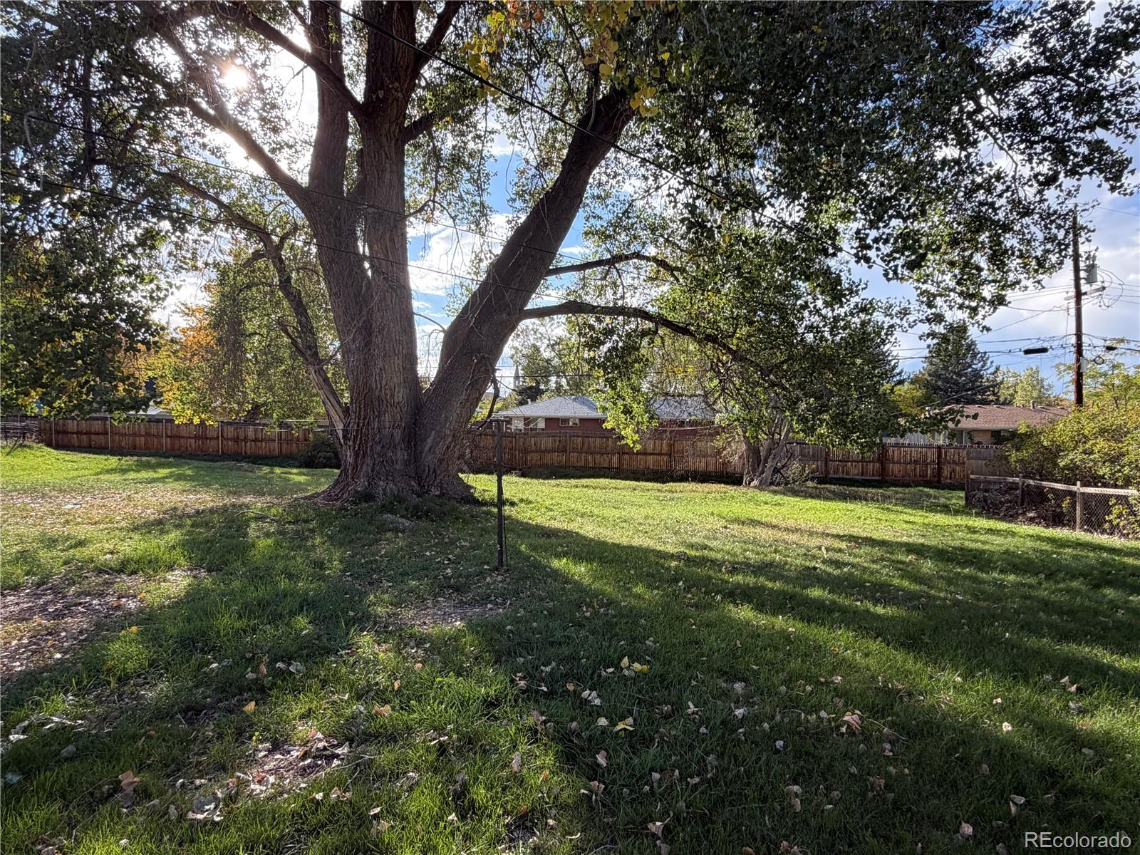 MLS Image #1 for 145 & 147 s cody street,lakewood, Colorado