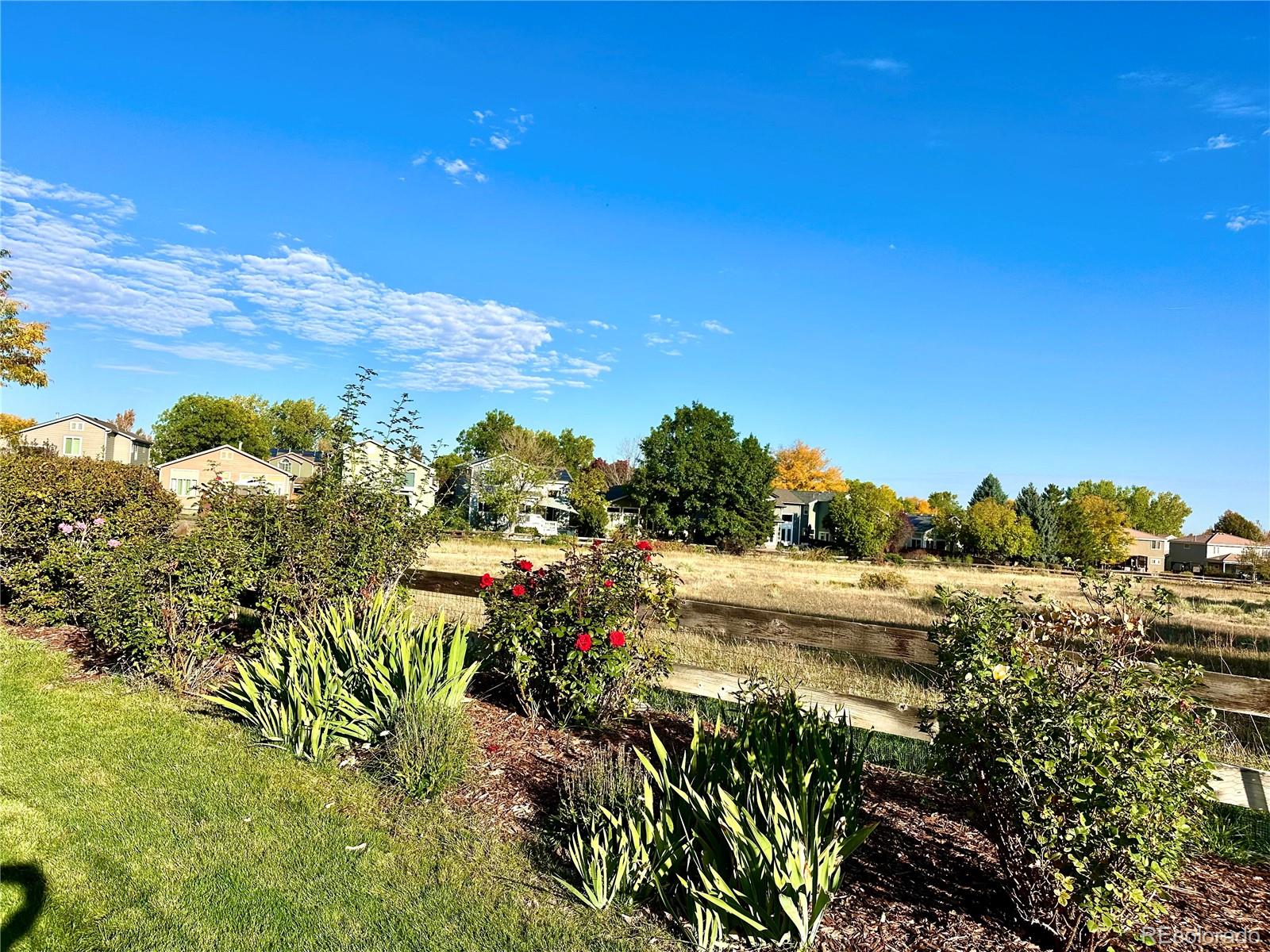 MLS Image #4 for 10287  song sparrow lane,highlands ranch, Colorado