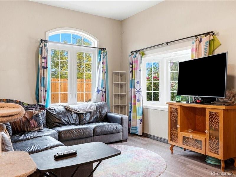 MLS Image #3 for 253  birch street,hudson, Colorado