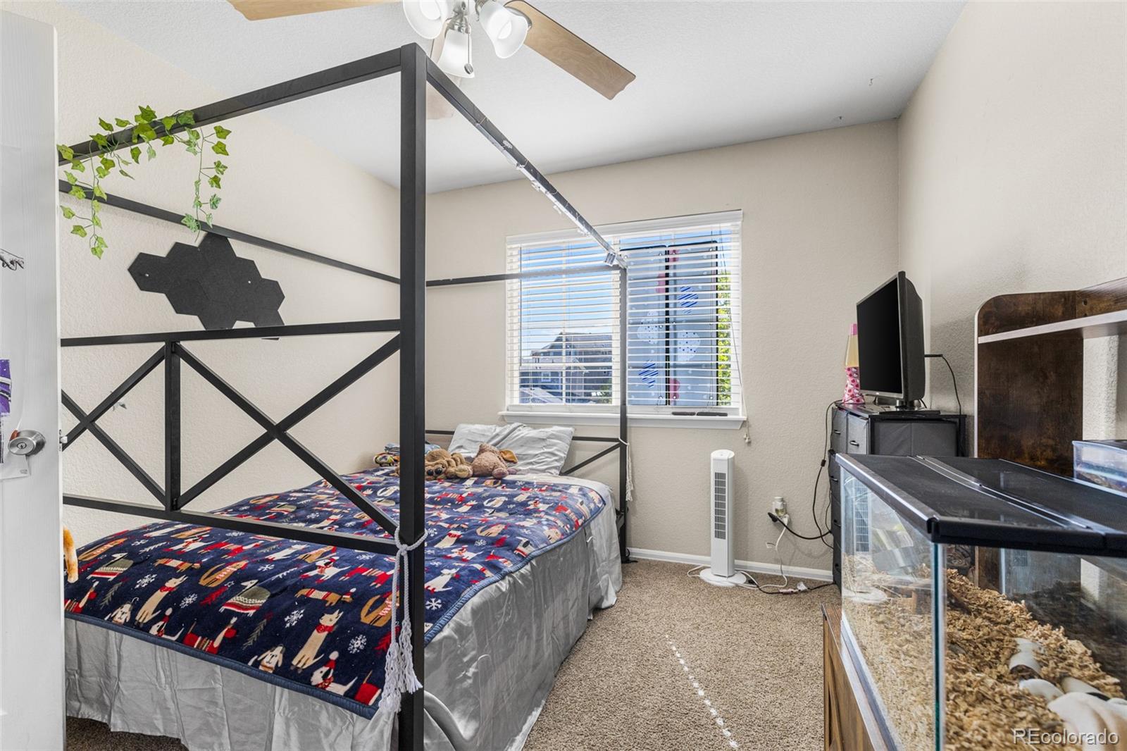 MLS Image #19 for 7478  bentwater drive,fountain, Colorado