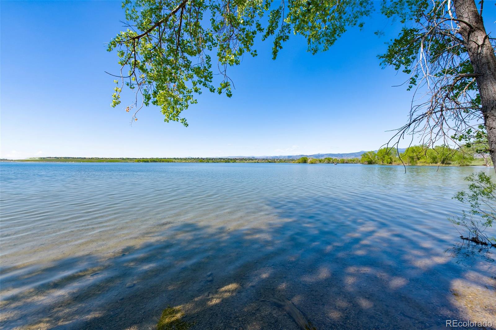 MLS Image #43 for 8441  urban court,arvada, Colorado