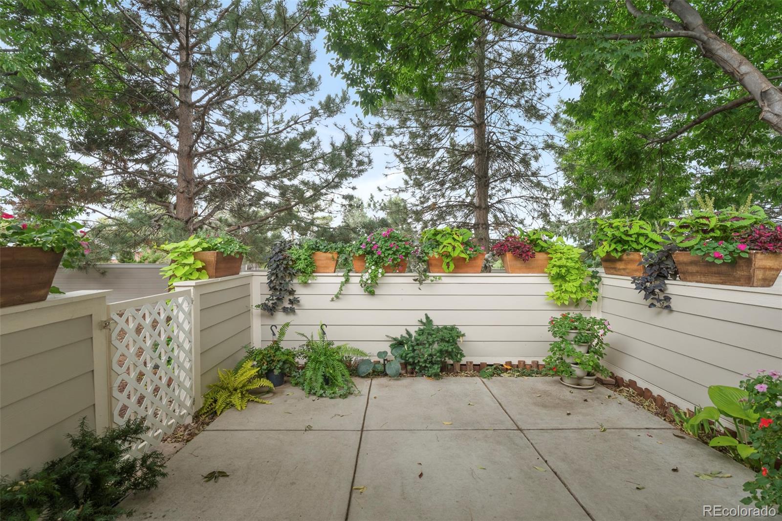 MLS Image #25 for 959  hover ridge circle,longmont, Colorado