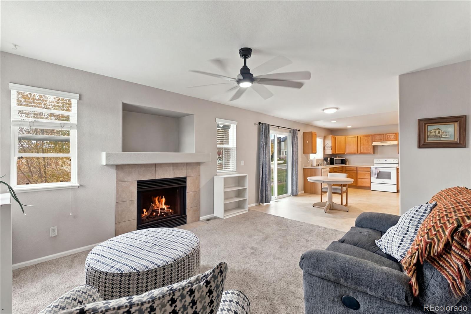 MLS Image #19 for 1902  wildwood pass drive,colorado springs, Colorado