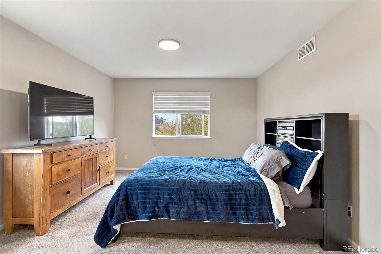 MLS Image #2 for 1902  wildwood pass drive,colorado springs, Colorado