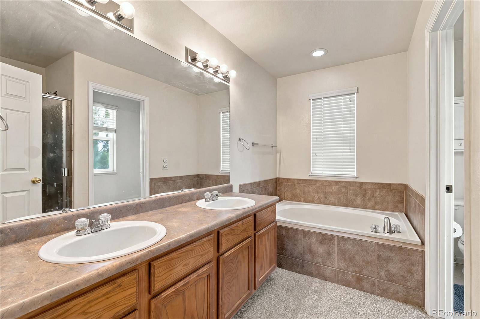 MLS Image #5 for 1902  wildwood pass drive,colorado springs, Colorado