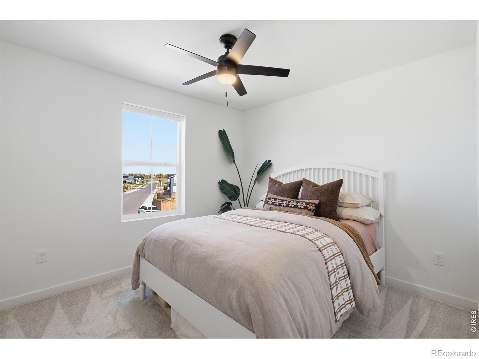 MLS Image #27 for 5533  fleur de lis lane,timnath, Colorado