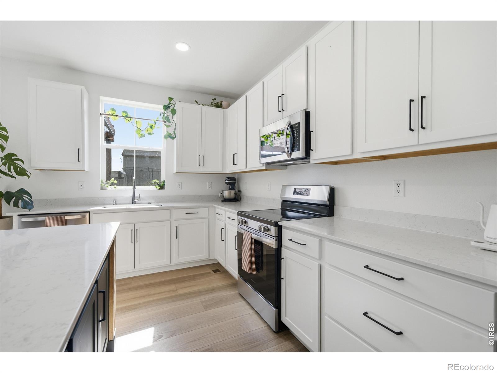 MLS Image #8 for 5533  fleur de lis lane,timnath, Colorado