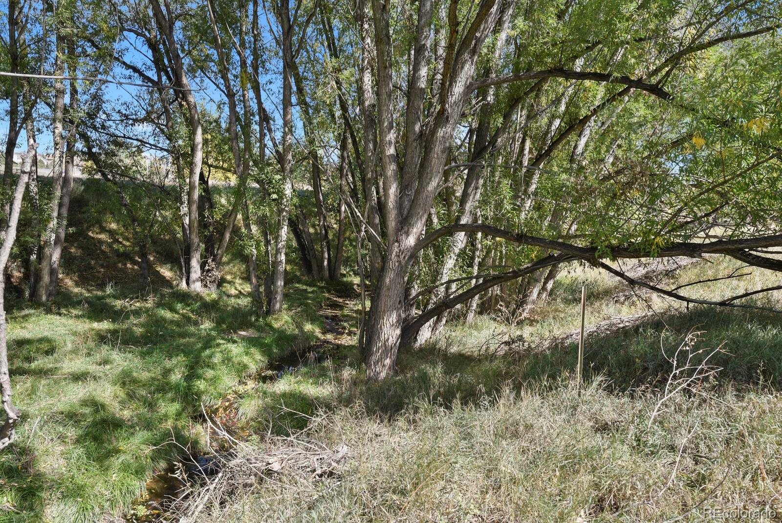 MLS Image #43 for 15320  steinbeck lane,colorado springs, Colorado