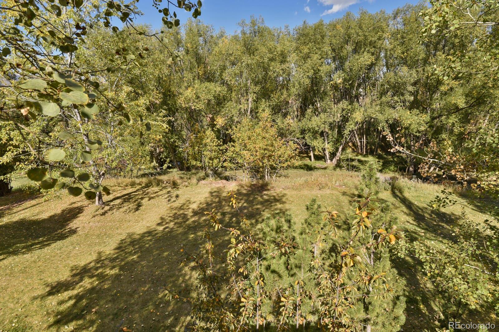 MLS Image #44 for 15320  steinbeck lane,colorado springs, Colorado