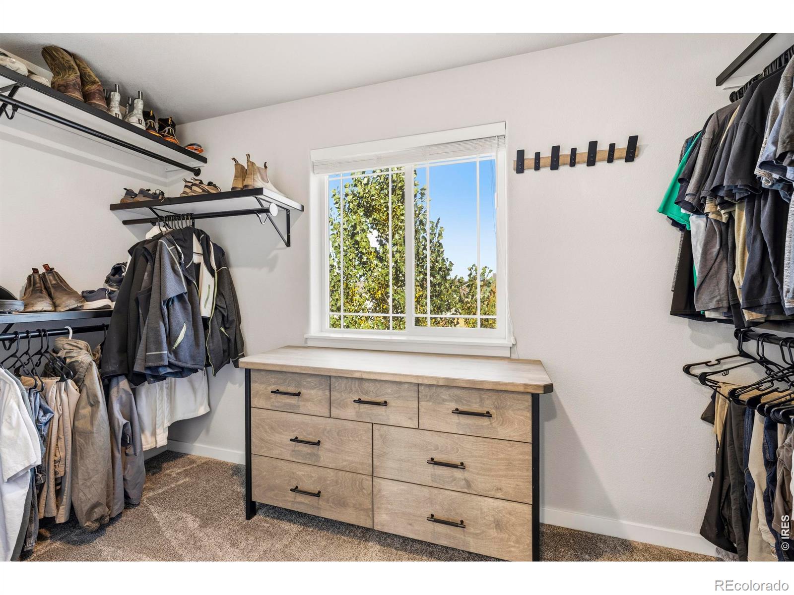 MLS Image #24 for 3435  short grass drive,wellington, Colorado