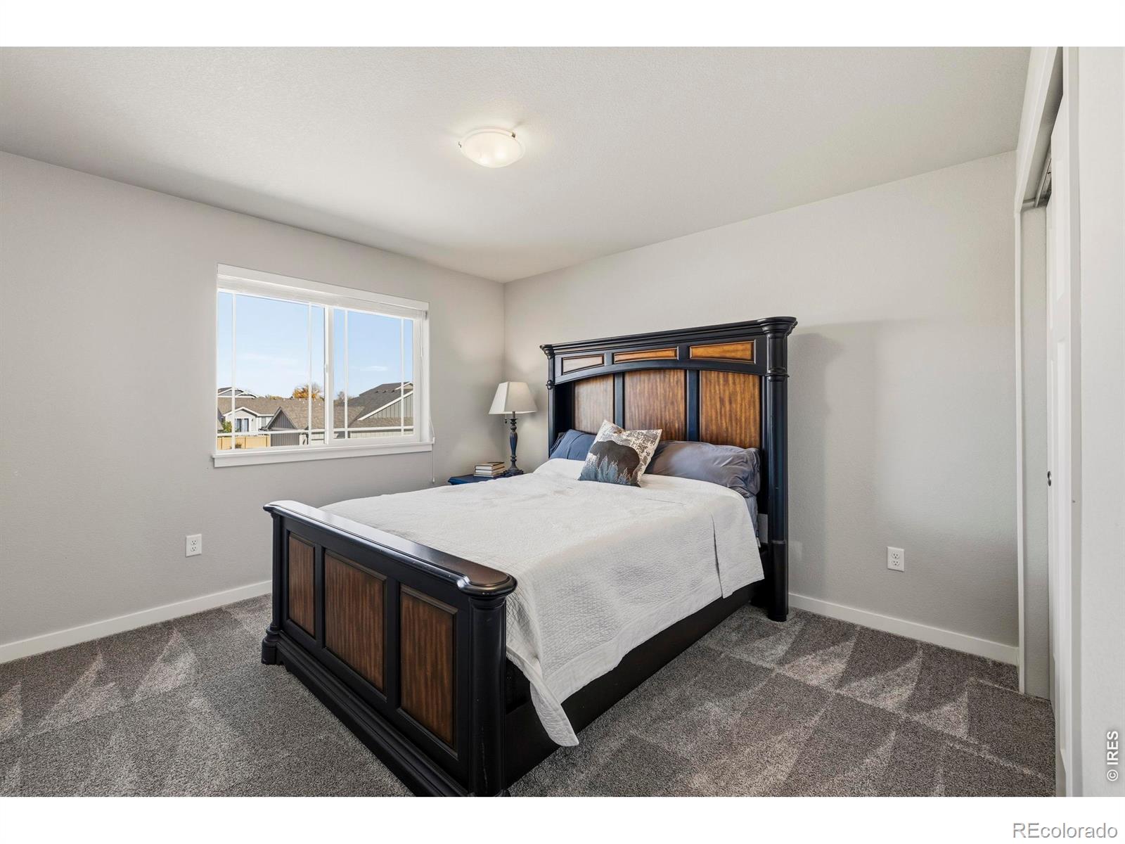 MLS Image #26 for 3435  short grass drive,wellington, Colorado