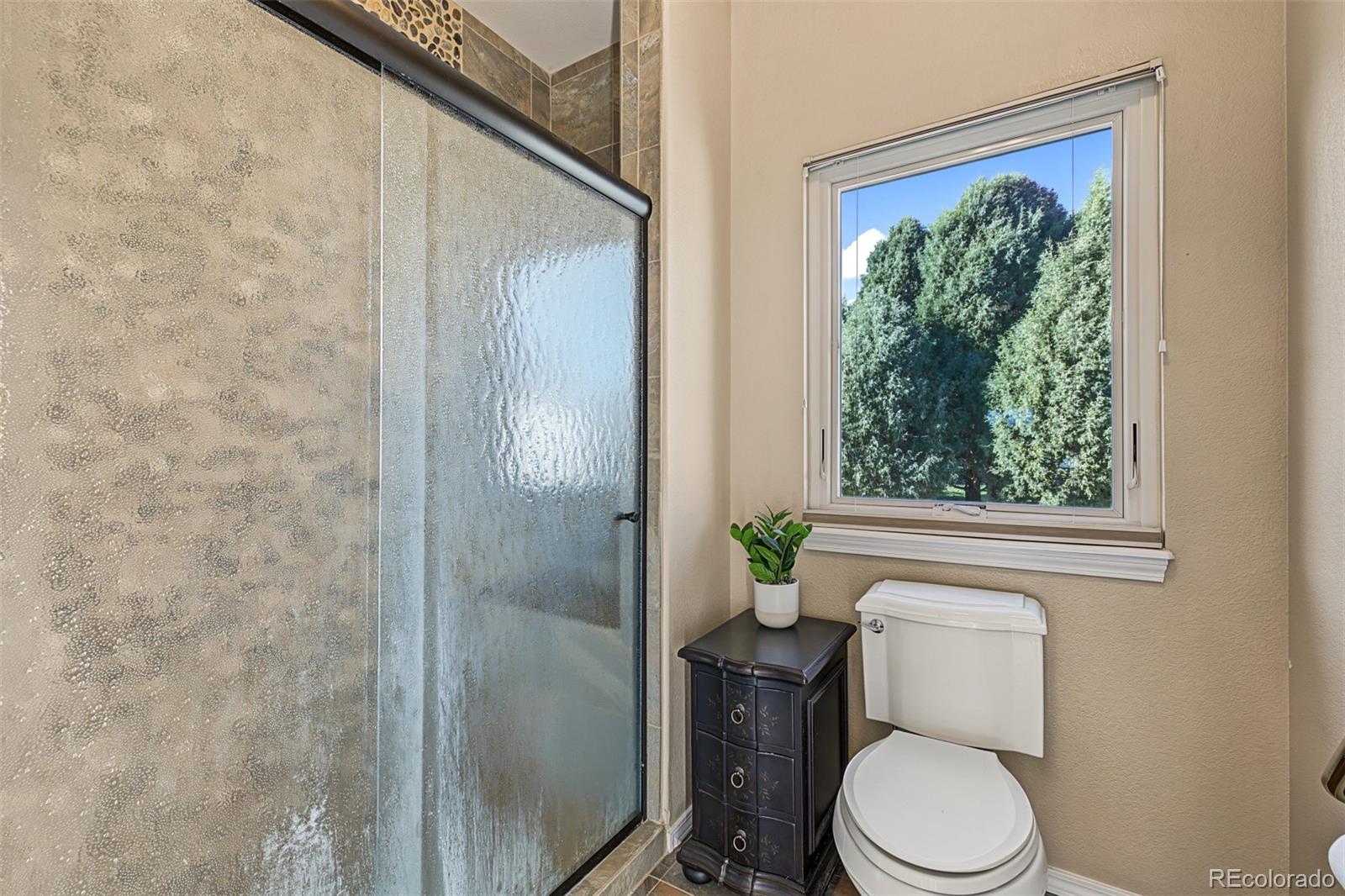 MLS Image #20 for 3530  twisted oak circle,colorado springs, Colorado