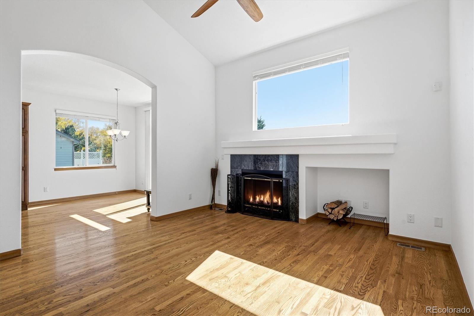 MLS Image #12 for 20598 e lake drive,centennial, Colorado