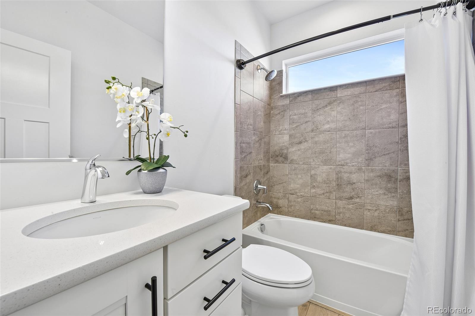 MLS Image #26 for 933  tree bark terrace,monument, Colorado