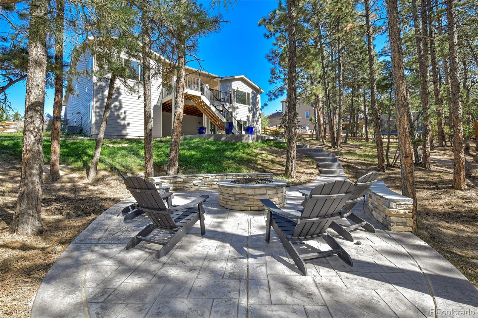 MLS Image #38 for 933  tree bark terrace,monument, Colorado