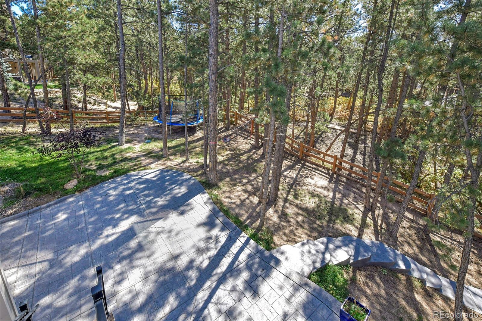 MLS Image #39 for 933  tree bark terrace,monument, Colorado