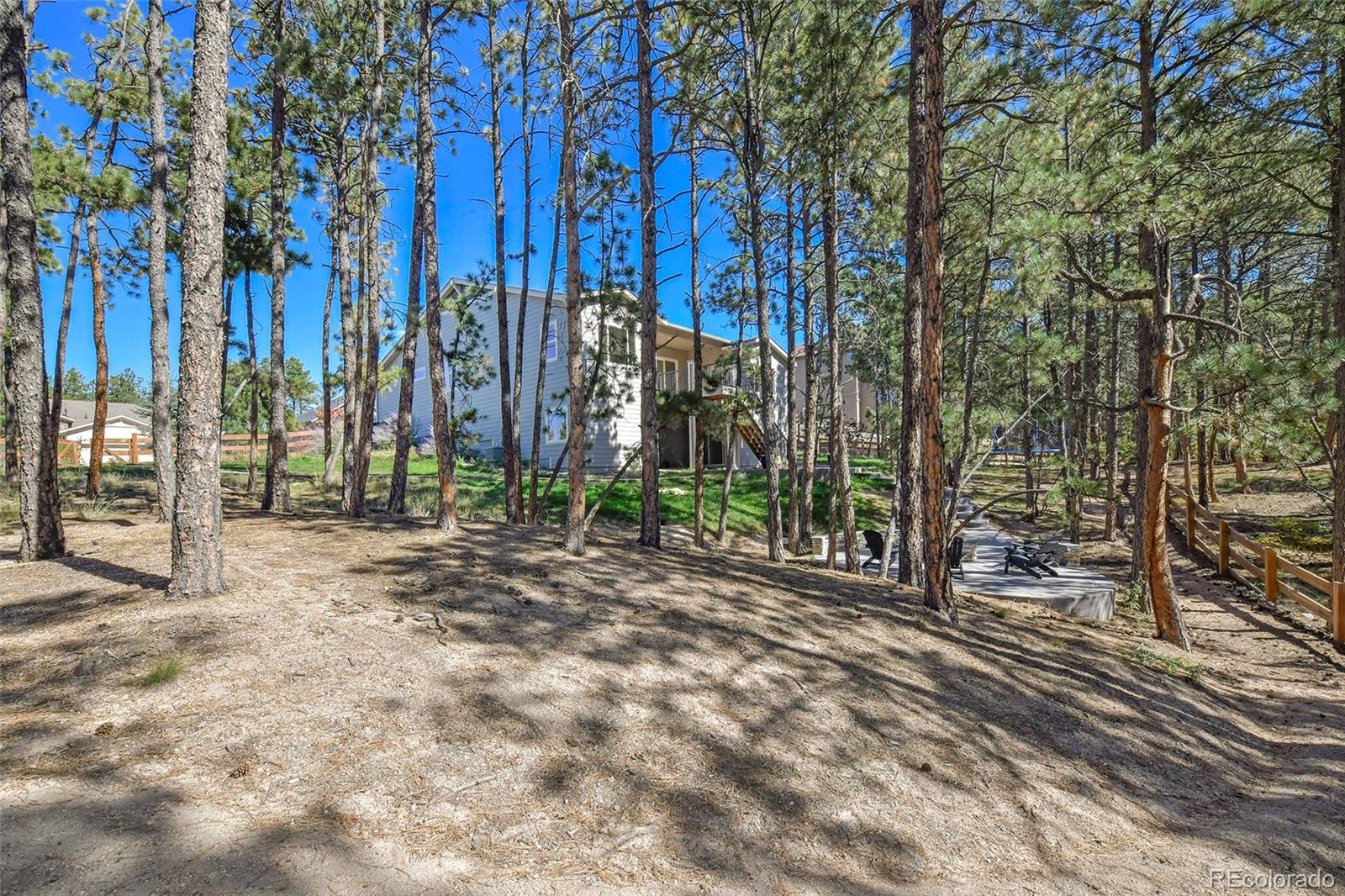 MLS Image #44 for 933  tree bark terrace,monument, Colorado