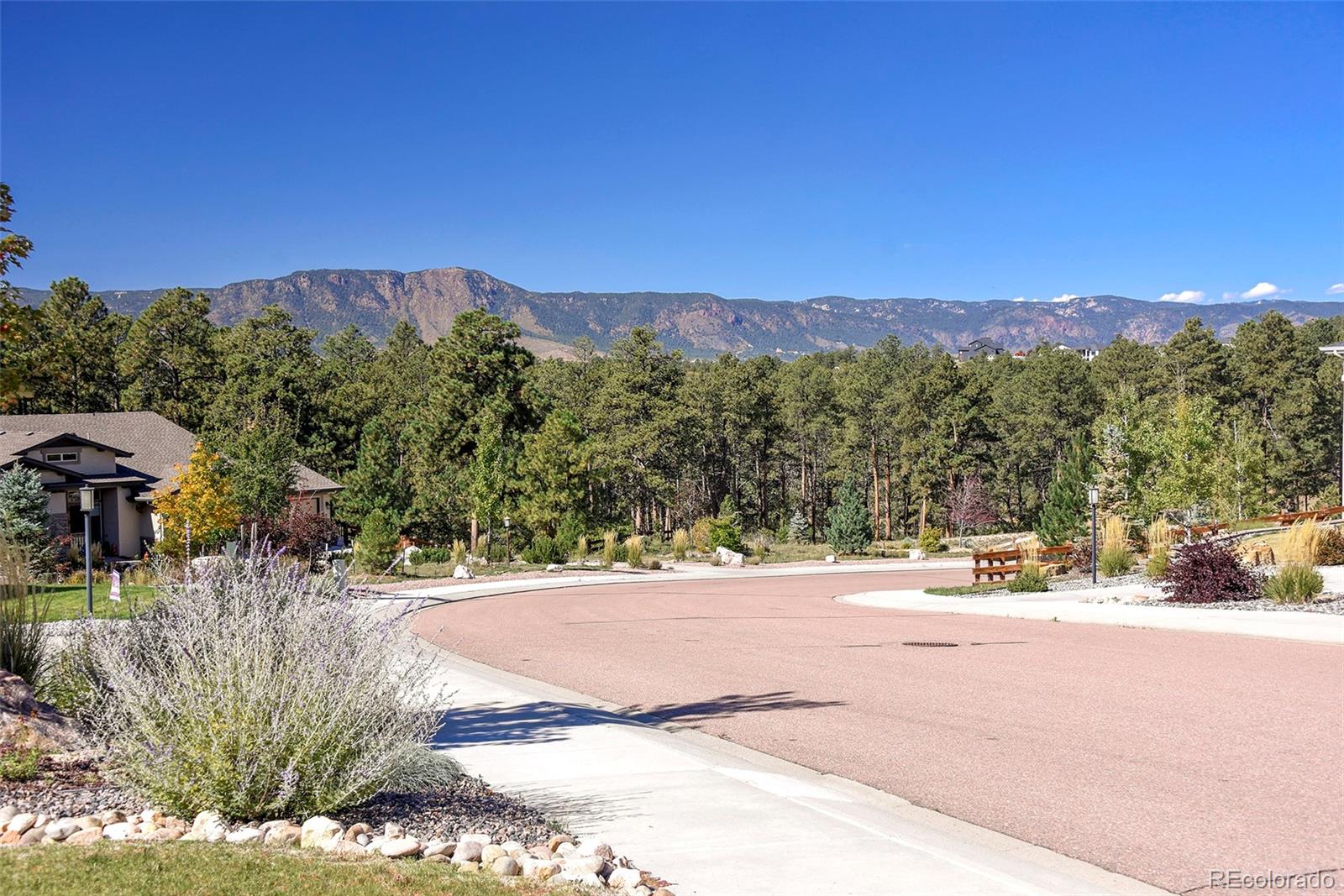 MLS Image #47 for 933  tree bark terrace,monument, Colorado