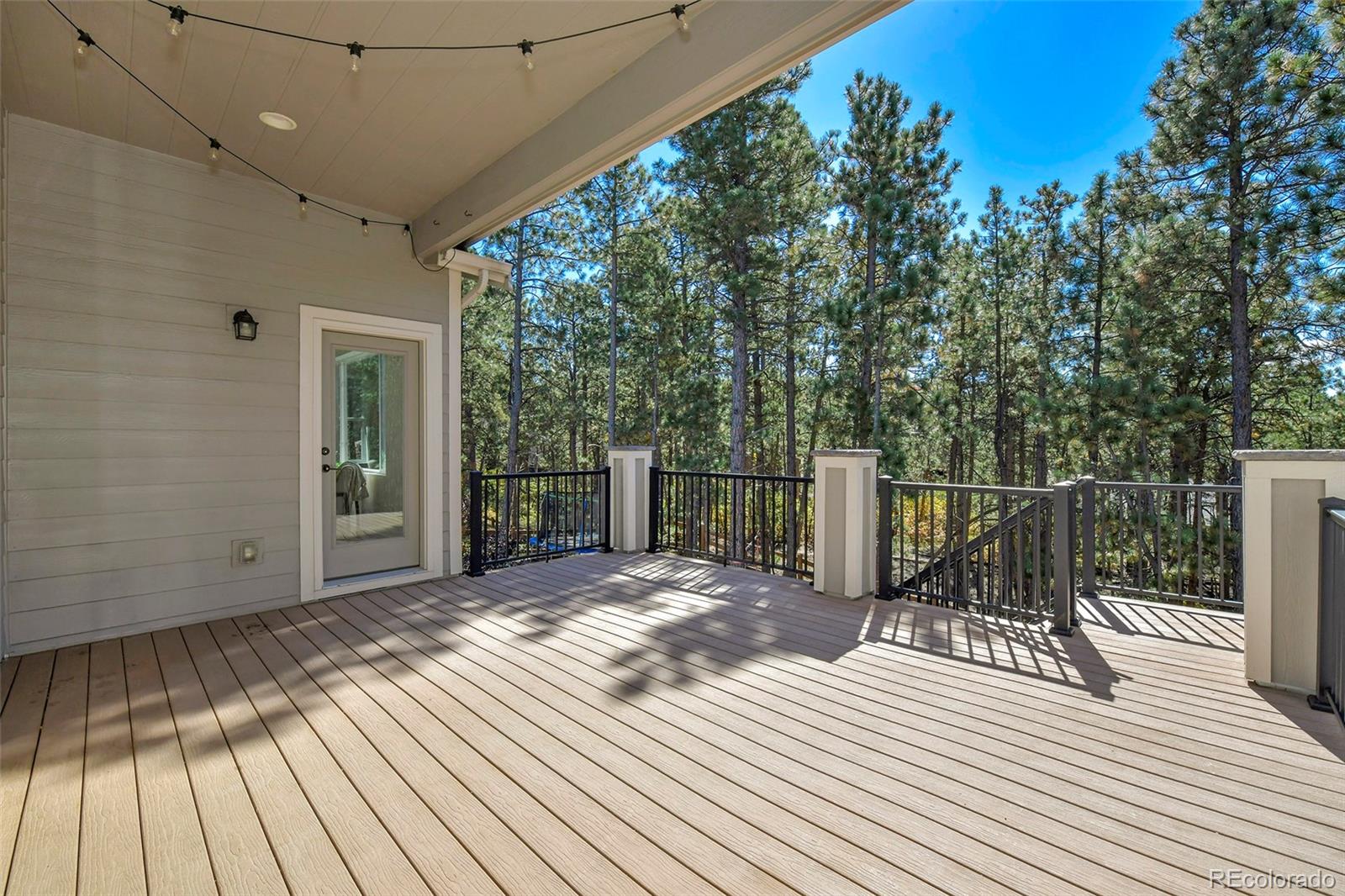 MLS Image #6 for 933  tree bark terrace,monument, Colorado