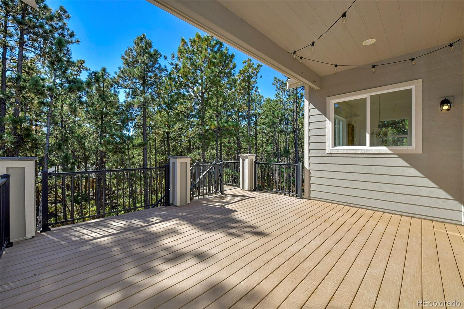 MLS Image #7 for 933  tree bark terrace,monument, Colorado