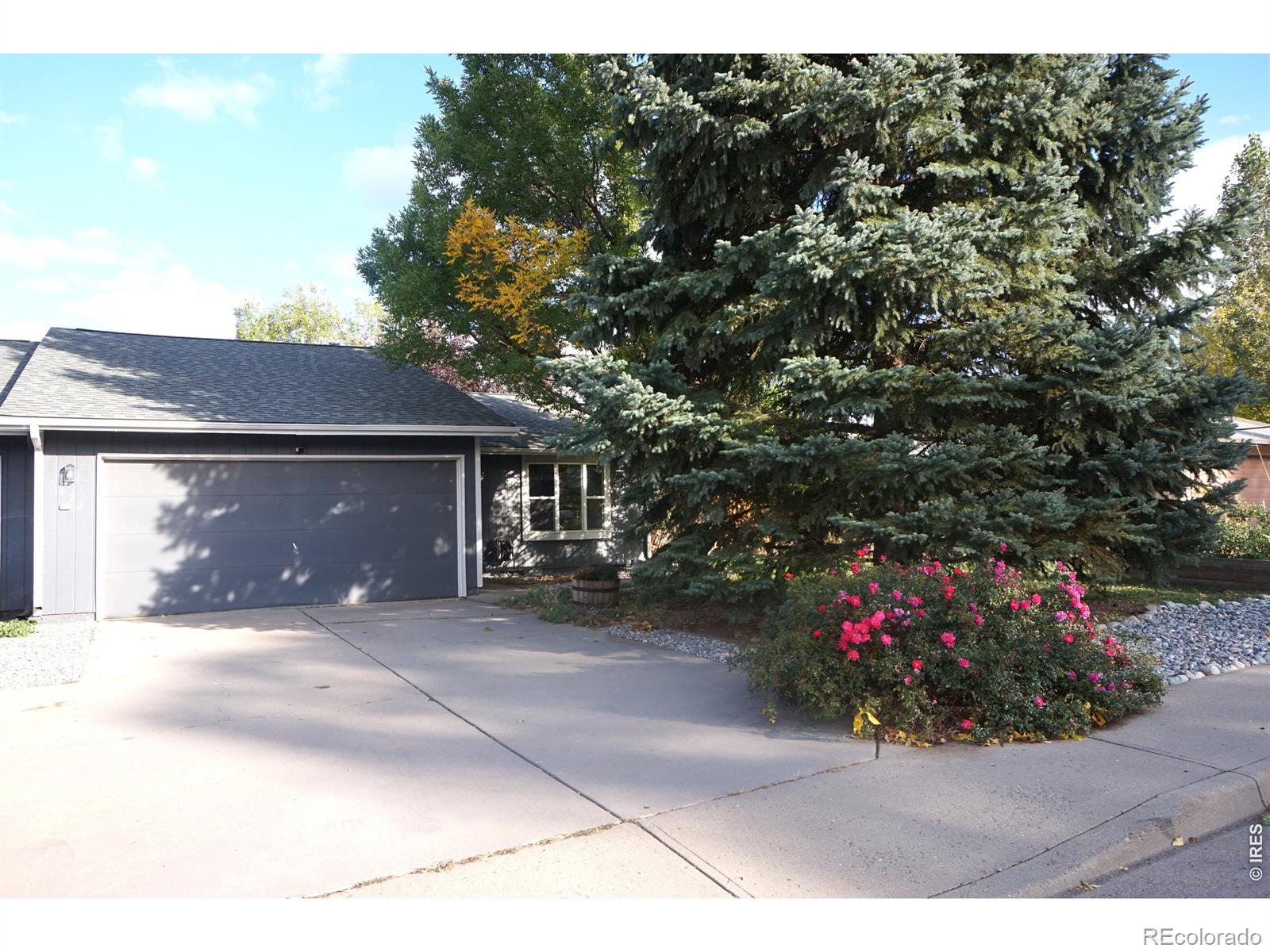 MLS Image #1 for 422  glenda drive,loveland, Colorado