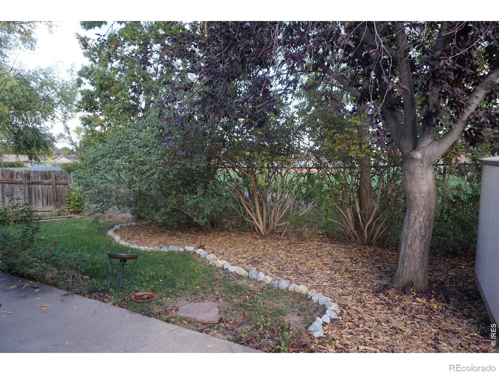 MLS Image #15 for 422  glenda drive,loveland, Colorado