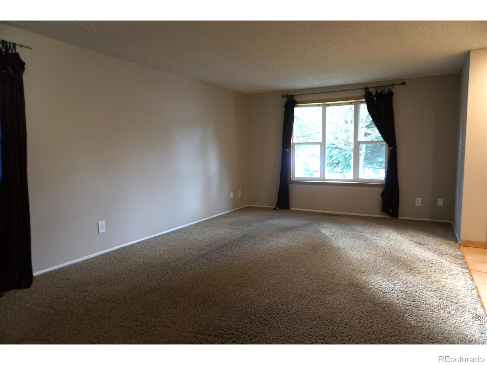 MLS Image #5 for 422  glenda drive,loveland, Colorado