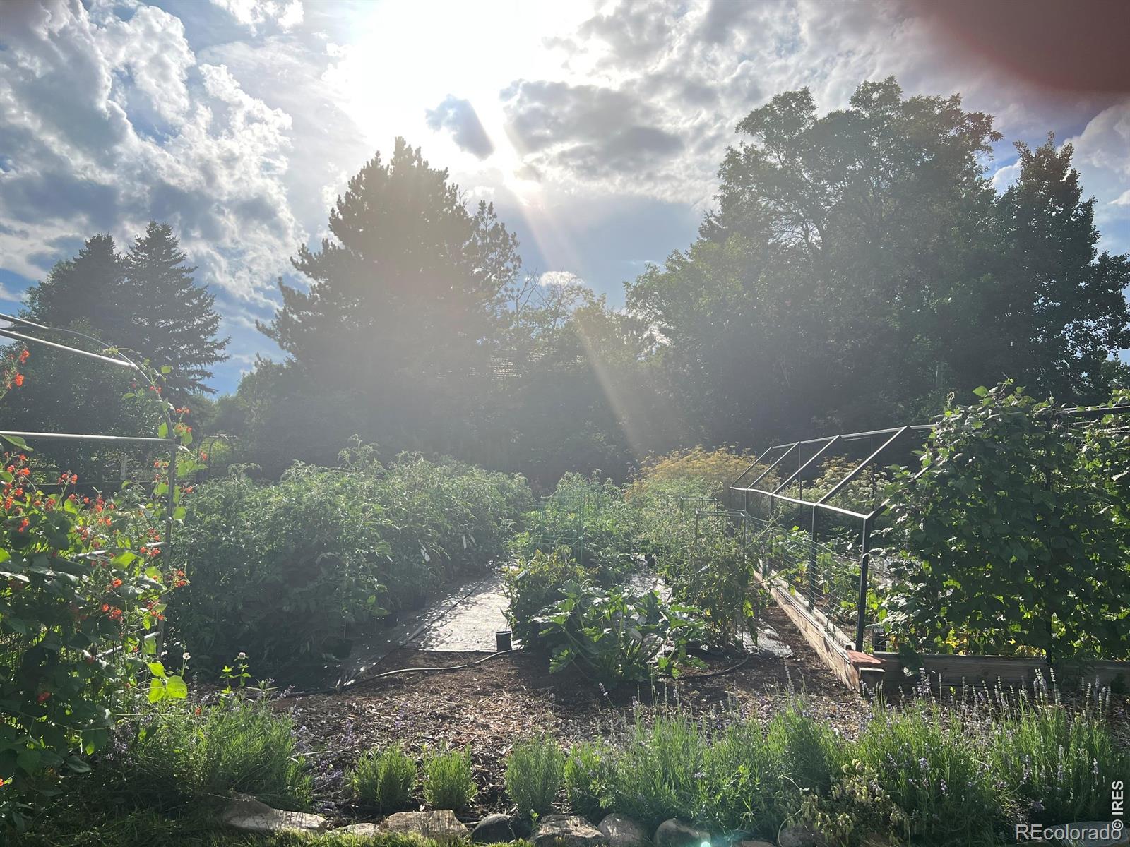 MLS Image #46 for 500  apple blossom lane,fort collins, Colorado