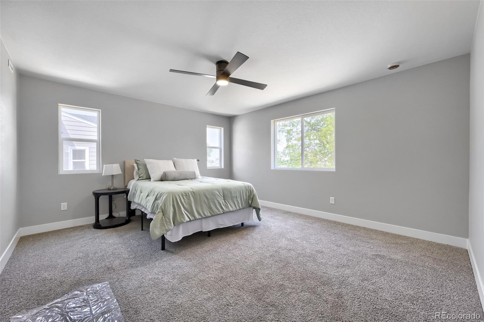 MLS Image #14 for 5542  clay court,denver, Colorado