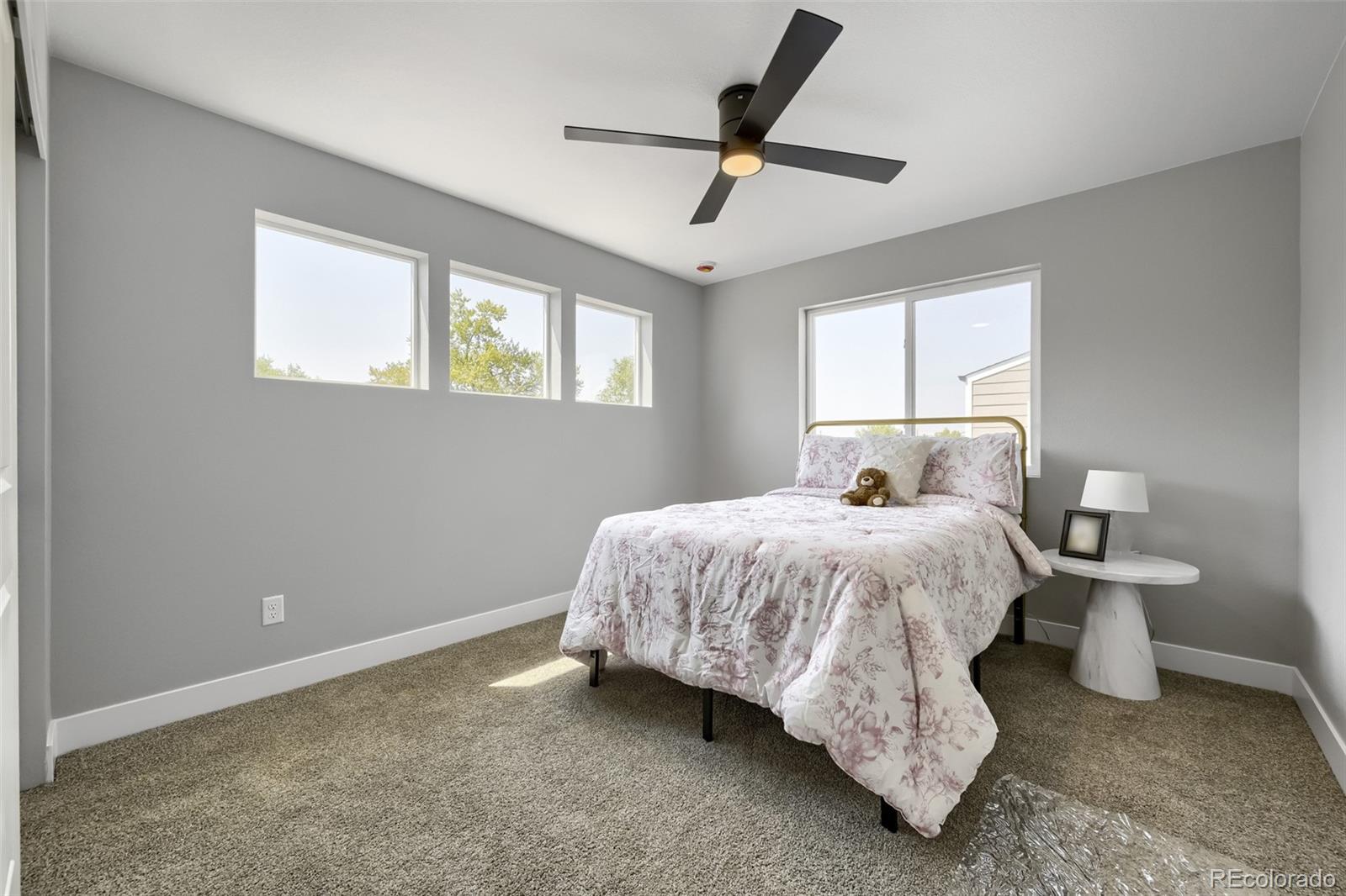 MLS Image #19 for 5542  clay court,denver, Colorado