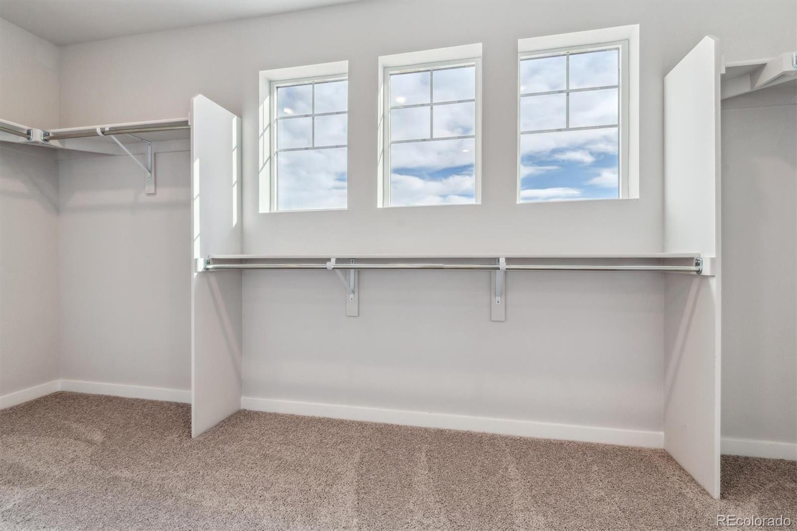 MLS Image #21 for 4352  kingsbarns drive,elizabeth, Colorado