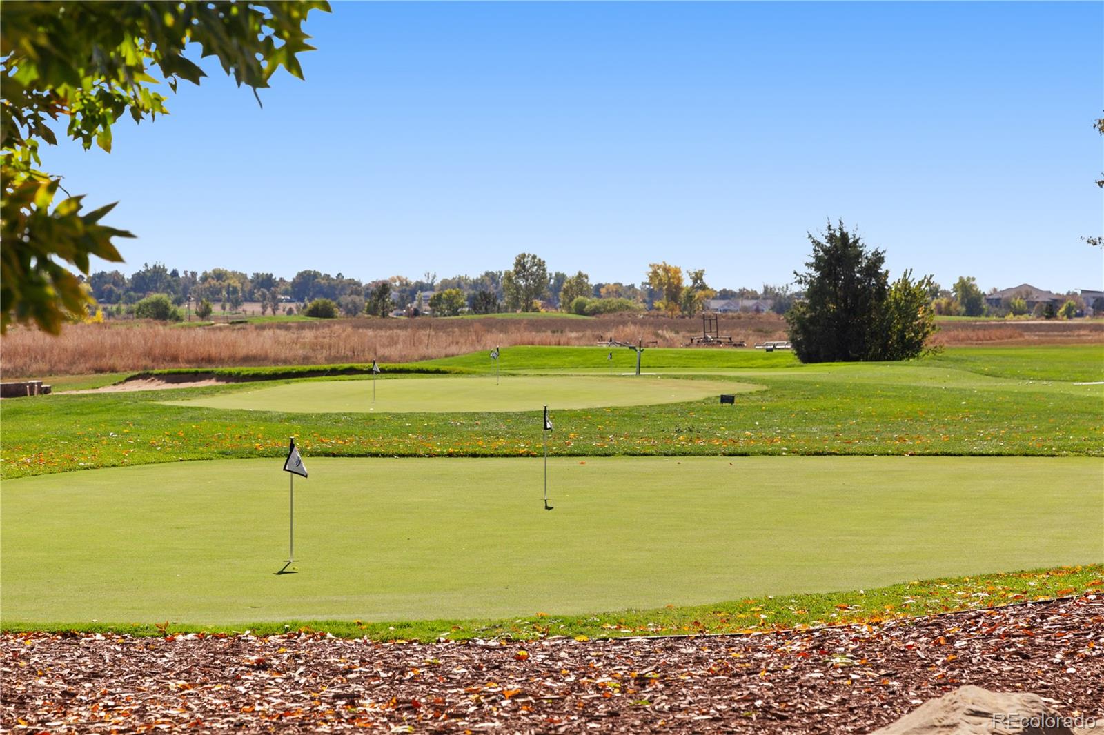 MLS Image #42 for 5414  wolf street,frederick, Colorado