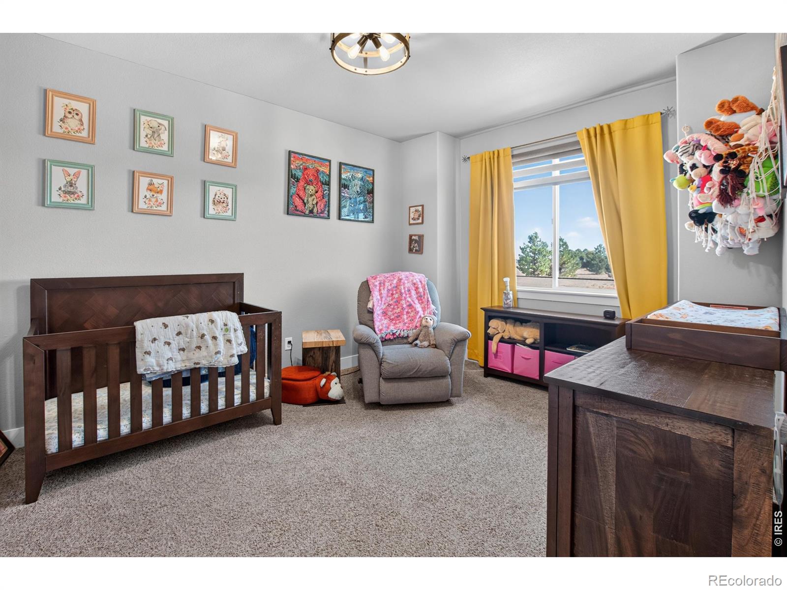 MLS Image #14 for 16497  badminton road,platteville, Colorado