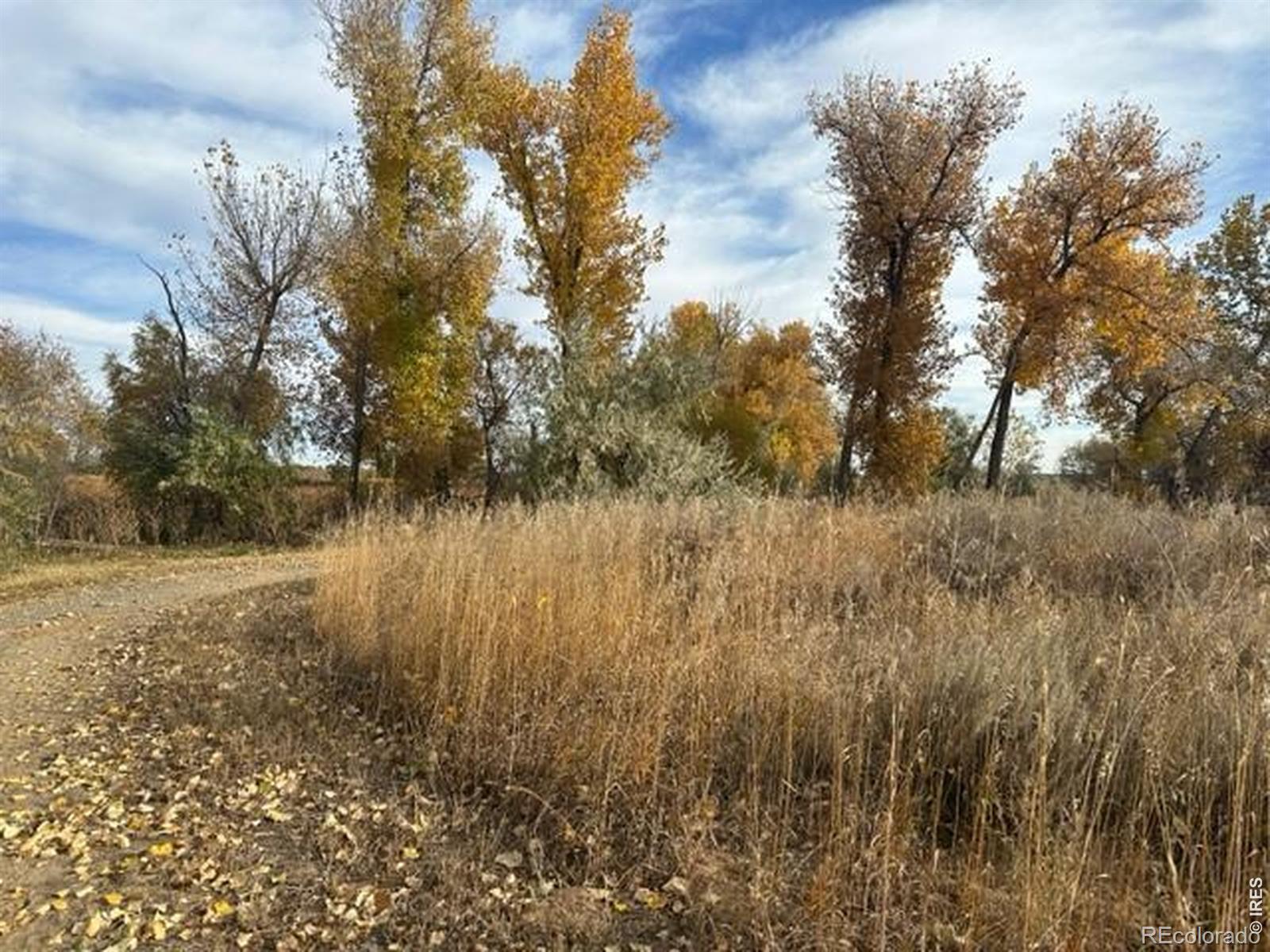 MLS Image #34 for 16497  badminton road,platteville, Colorado