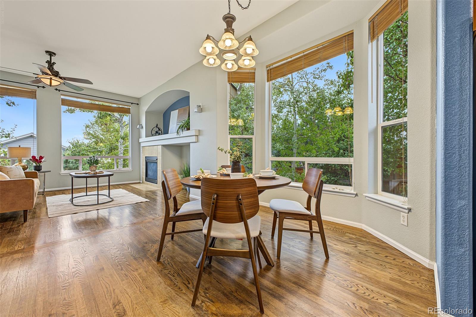 MLS Image #15 for 11894  pitchfork court,parker, Colorado