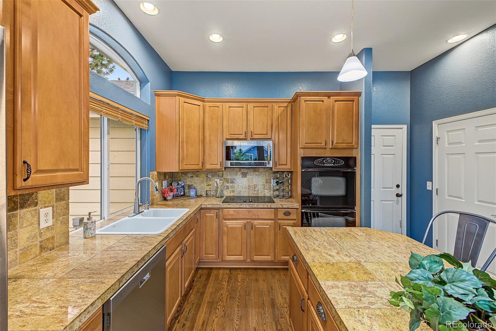 MLS Image #18 for 11894  pitchfork court,parker, Colorado