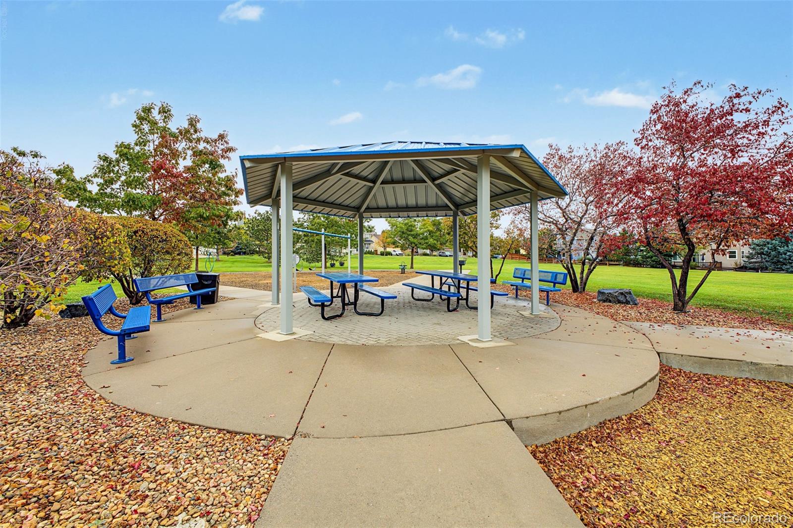 MLS Image #43 for 11894  pitchfork court,parker, Colorado