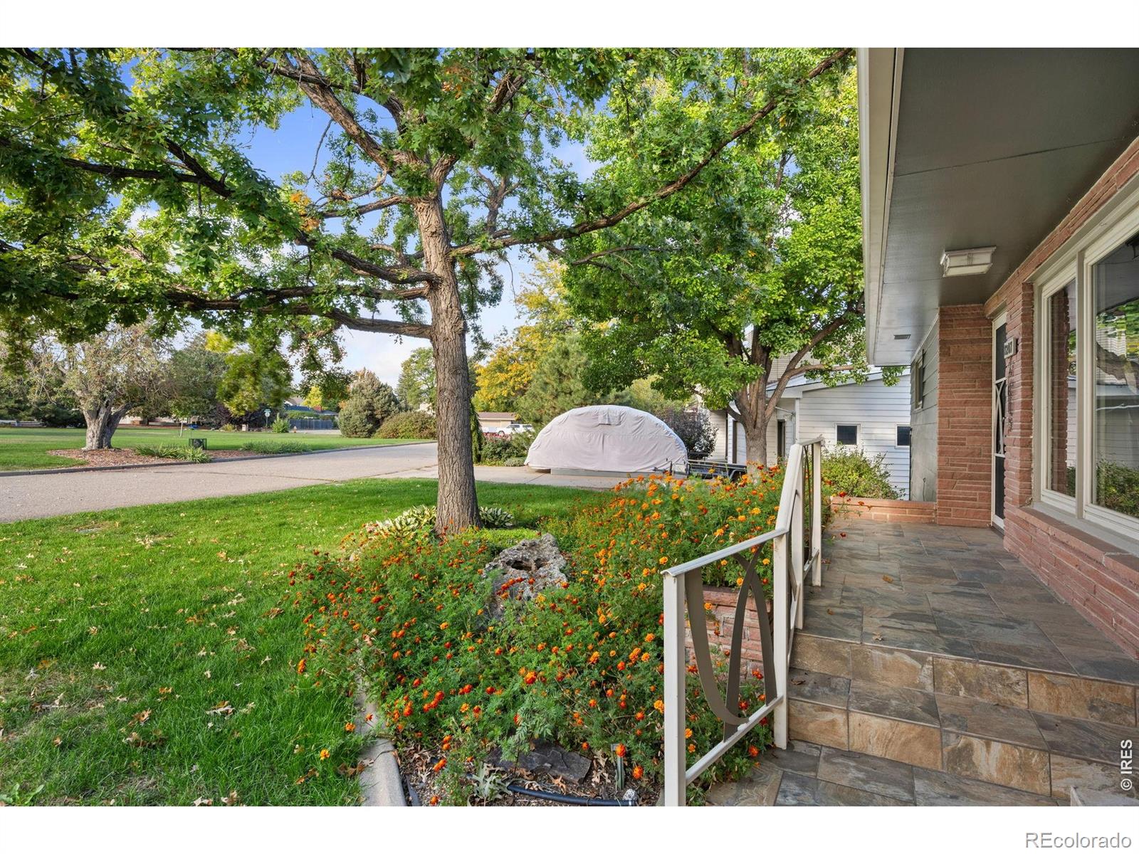 MLS Image #4 for 1207  loch mount drive,loveland, Colorado