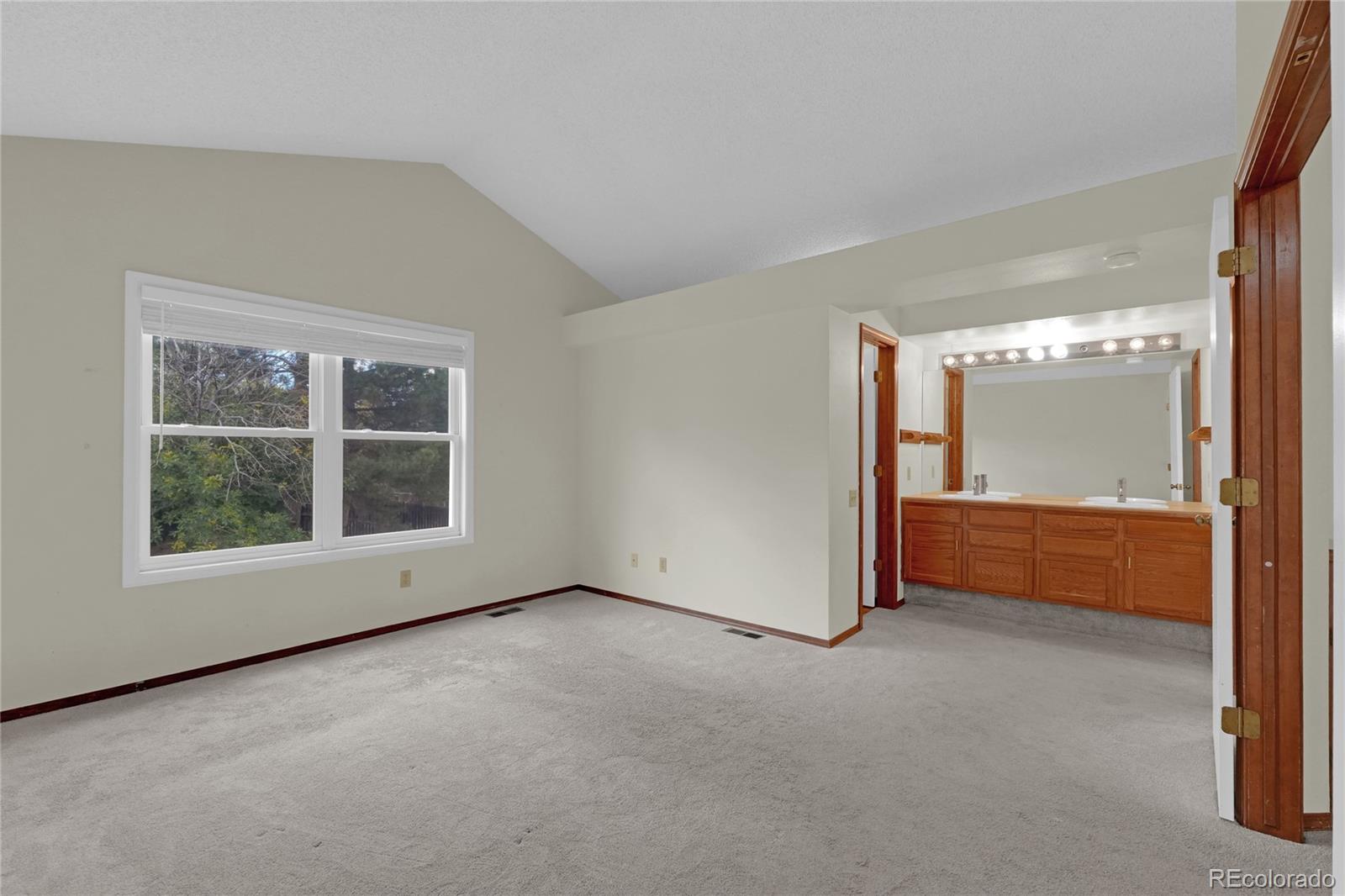 MLS Image #20 for 3560  birnamwood drive,colorado springs, Colorado