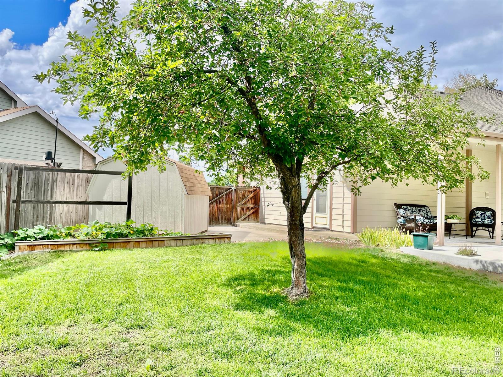 MLS Image #35 for 1350  silverwood court,windsor, Colorado