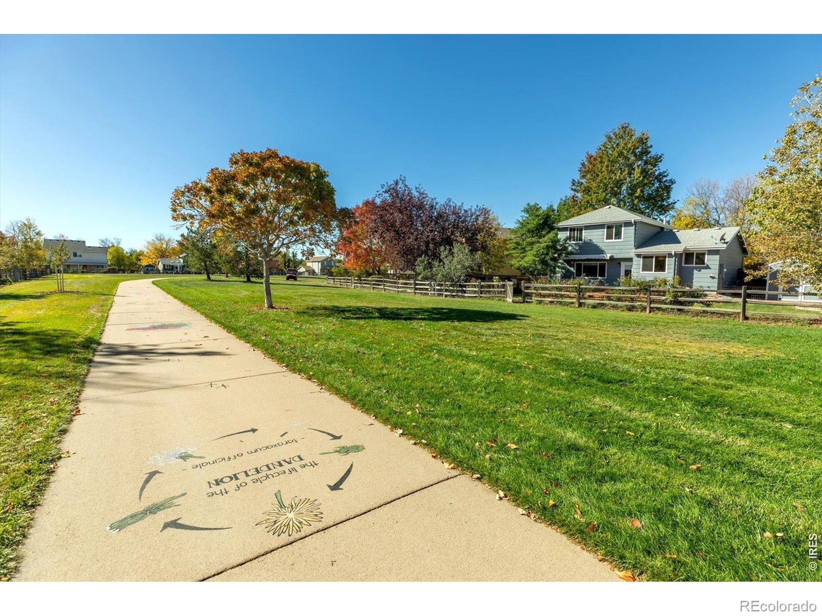 MLS Image #3 for 12640  xavier street,broomfield, Colorado