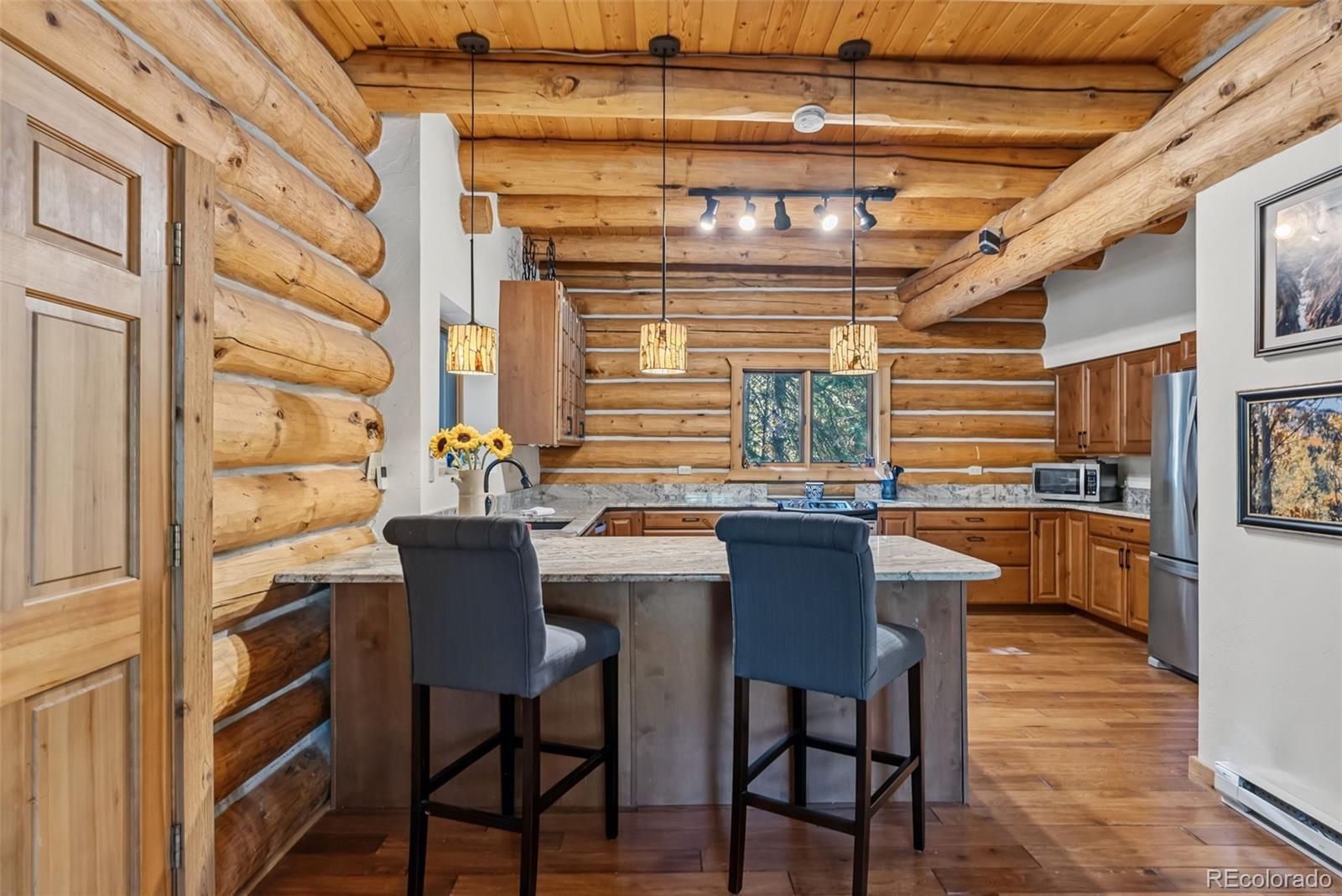 MLS Image #10 for 291  cr 533 ,breckenridge, Colorado