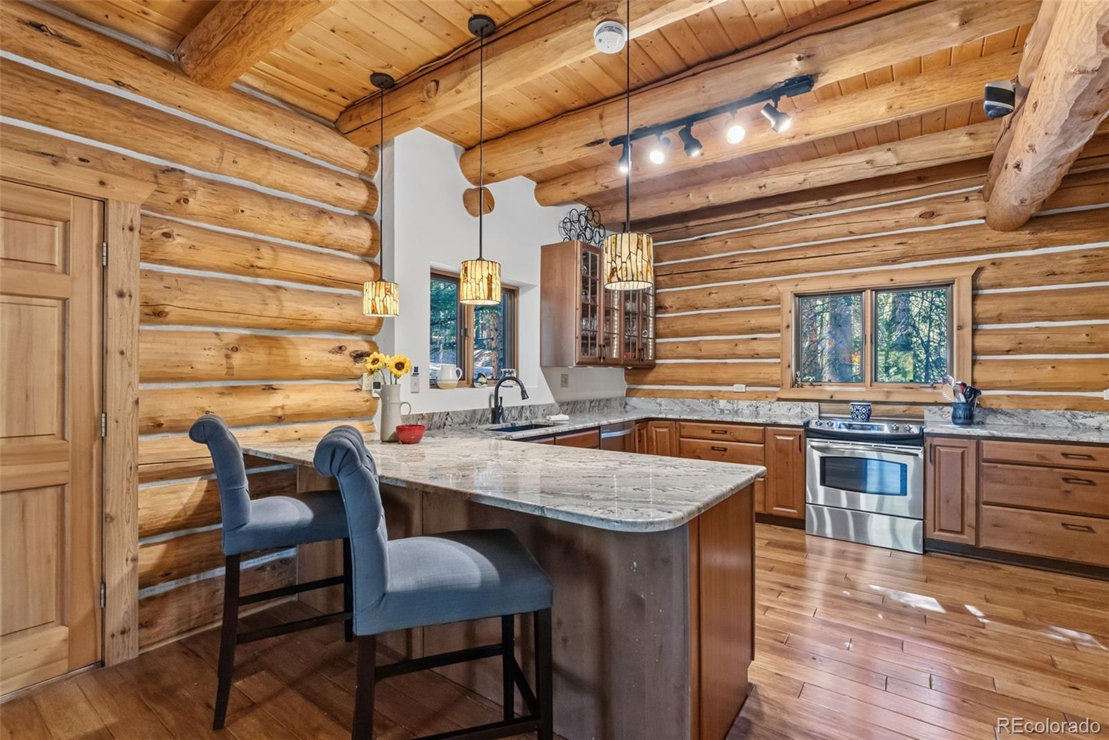 MLS Image #12 for 291  cr 533 ,breckenridge, Colorado