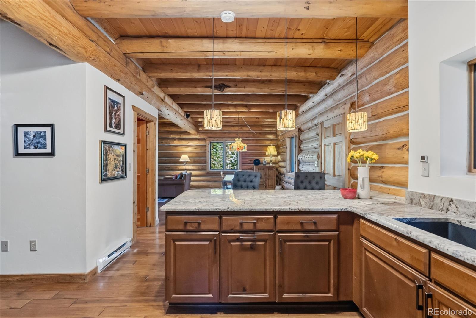 MLS Image #16 for 291  cr 533 ,breckenridge, Colorado