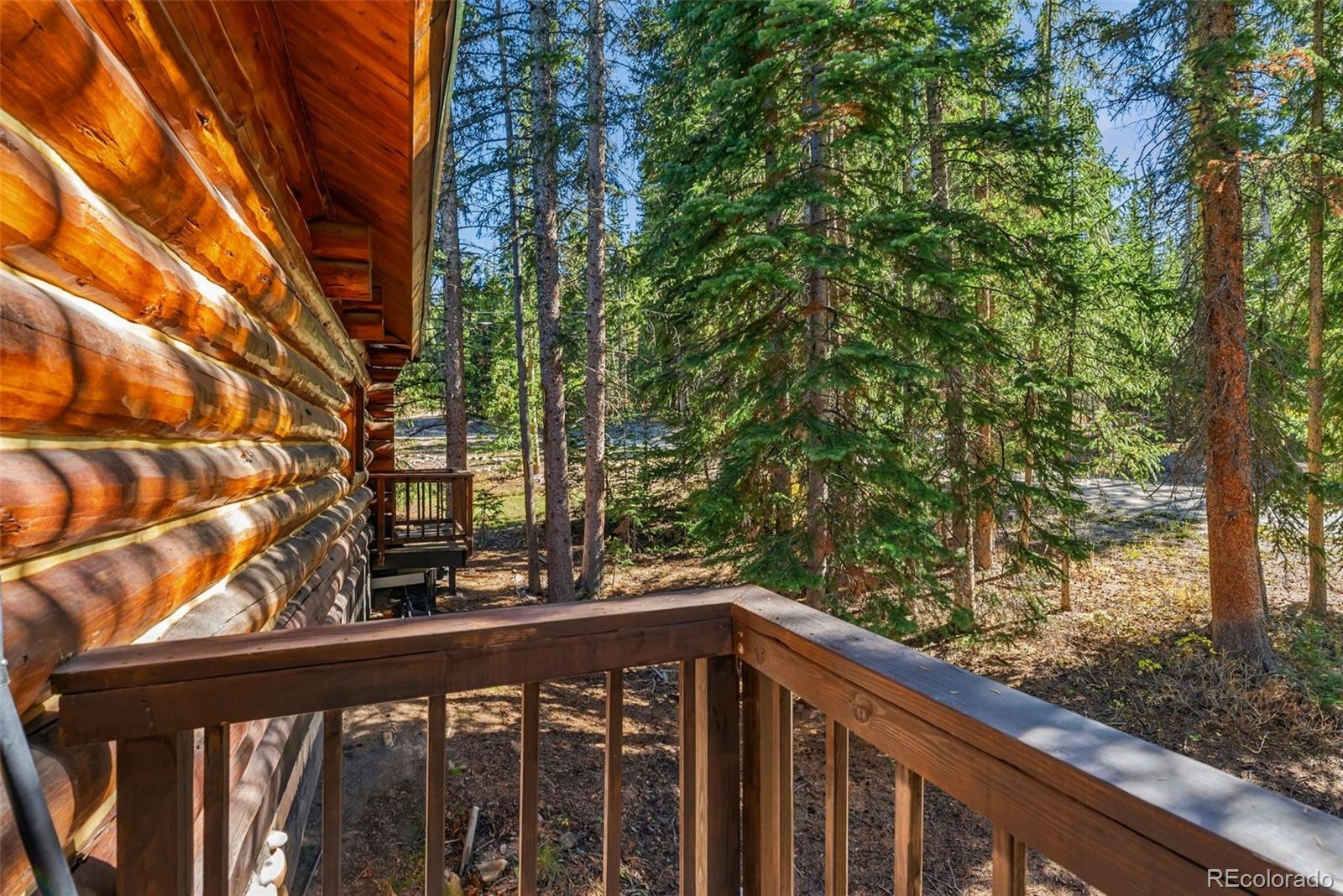 MLS Image #21 for 291  cr 533 ,breckenridge, Colorado