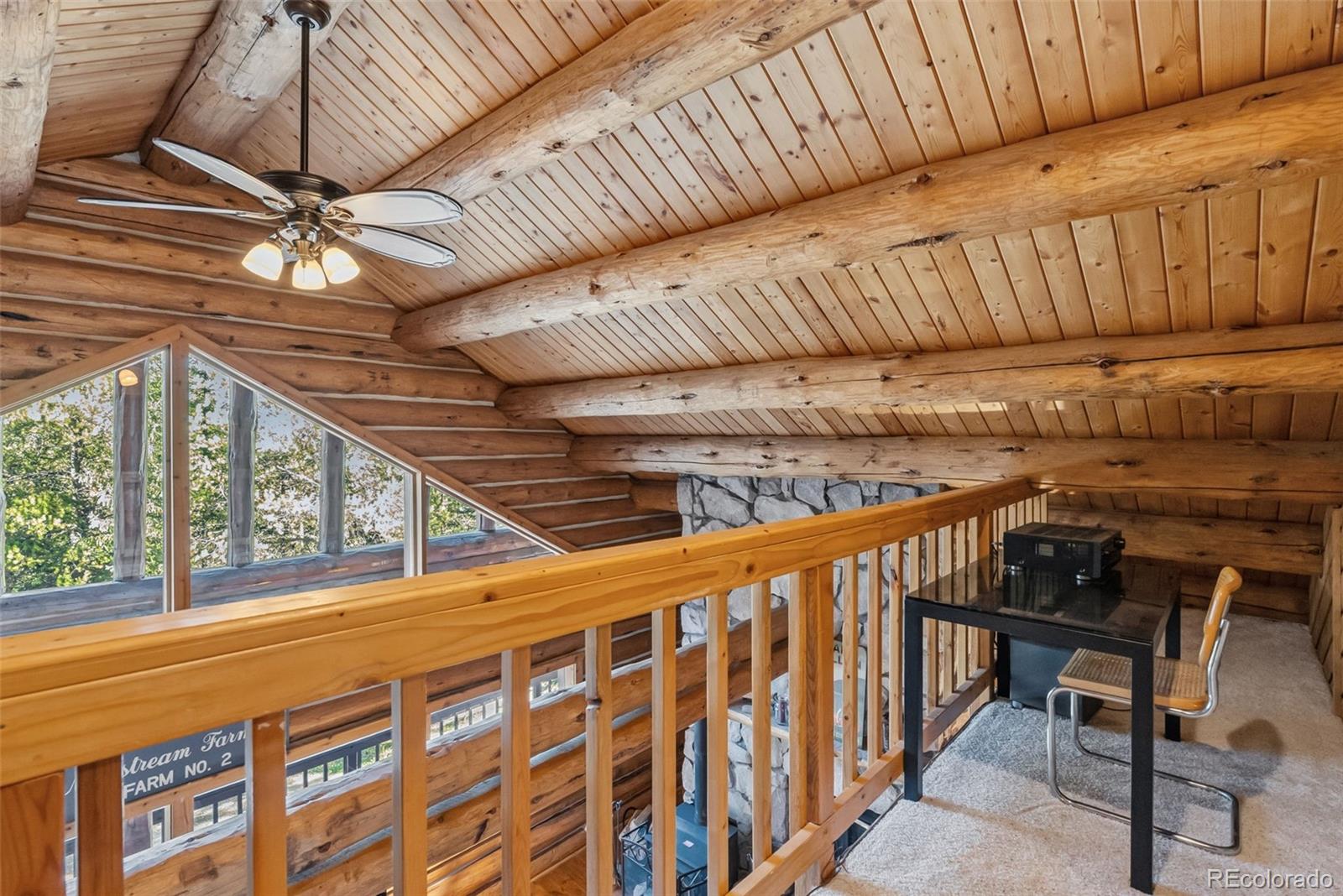 MLS Image #24 for 291  cr 533 ,breckenridge, Colorado