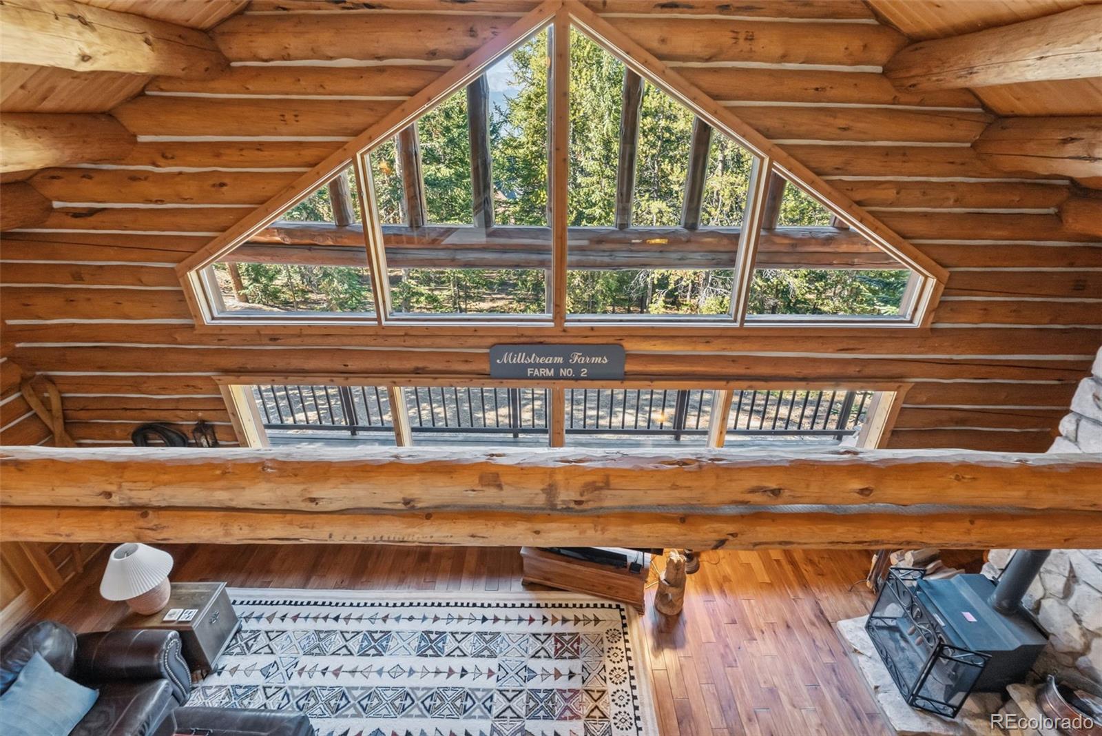 MLS Image #25 for 291  cr 533 ,breckenridge, Colorado